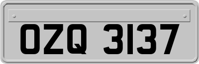 OZQ3137