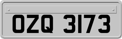 OZQ3173