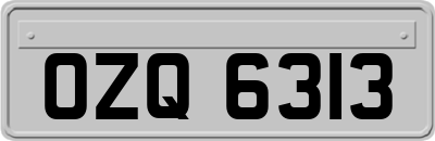 OZQ6313