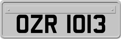 OZR1013