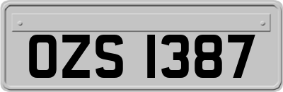 OZS1387