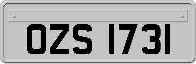 OZS1731