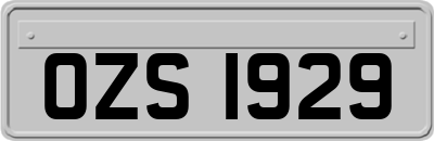 OZS1929