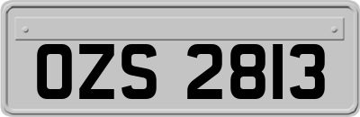 OZS2813