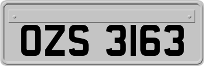 OZS3163