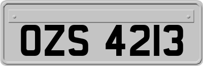 OZS4213