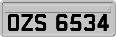 OZS6534