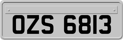 OZS6813