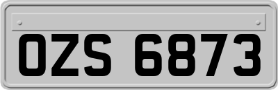 OZS6873