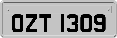 OZT1309