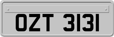 OZT3131