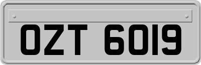 OZT6019