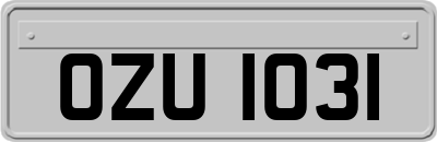 OZU1031