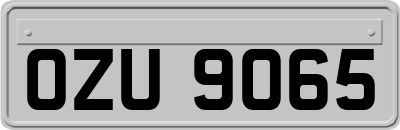 OZU9065