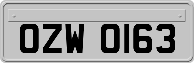 OZW0163