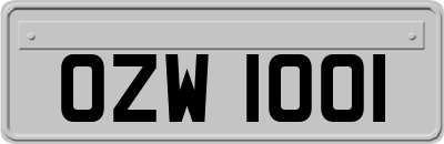 OZW1001
