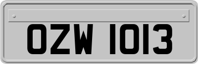 OZW1013