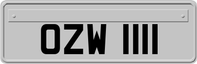 OZW1111