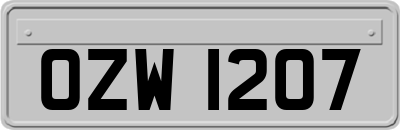 OZW1207