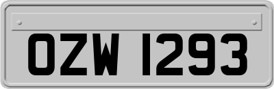 OZW1293