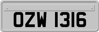 OZW1316
