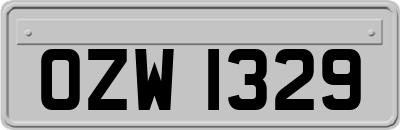 OZW1329