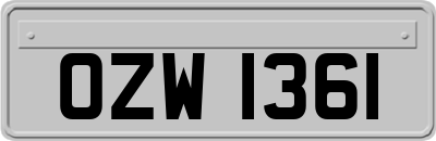 OZW1361