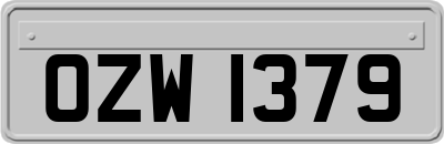OZW1379