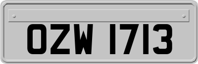 OZW1713