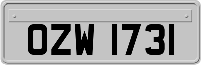 OZW1731
