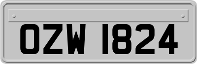 OZW1824