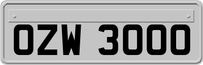 OZW3000