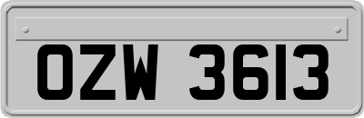 OZW3613