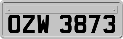 OZW3873