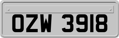 OZW3918