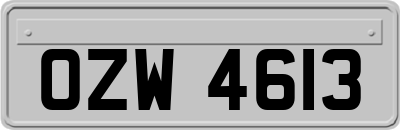 OZW4613