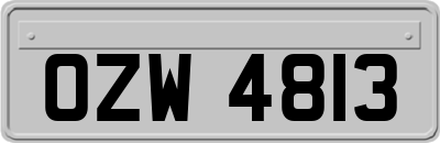 OZW4813