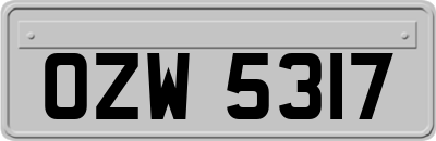 OZW5317