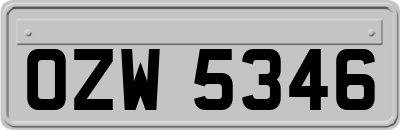 OZW5346