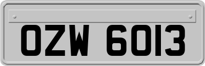 OZW6013