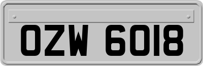 OZW6018