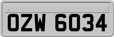 OZW6034