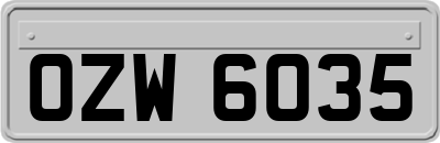 OZW6035