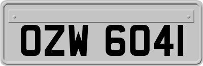 OZW6041