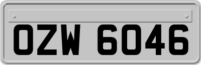 OZW6046