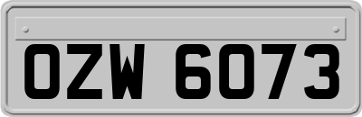 OZW6073
