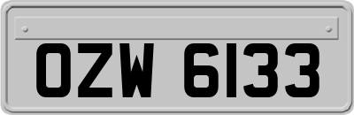 OZW6133