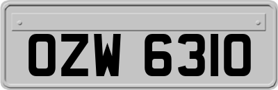 OZW6310
