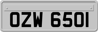 OZW6501
