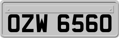 OZW6560